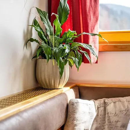 Apartament Manuel's App Watschinger - Enzian *